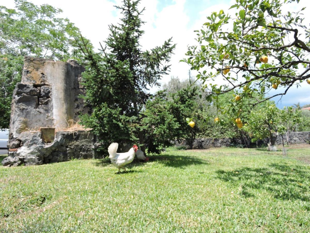 Villa Sciare Modo Acireale Exterior foto